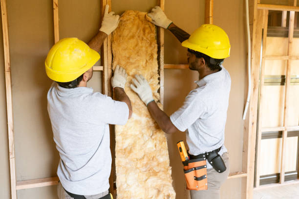 Best Insulation Replacement Services  in Gahanna, OH